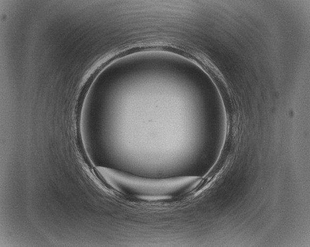 X0000083620789200702121139