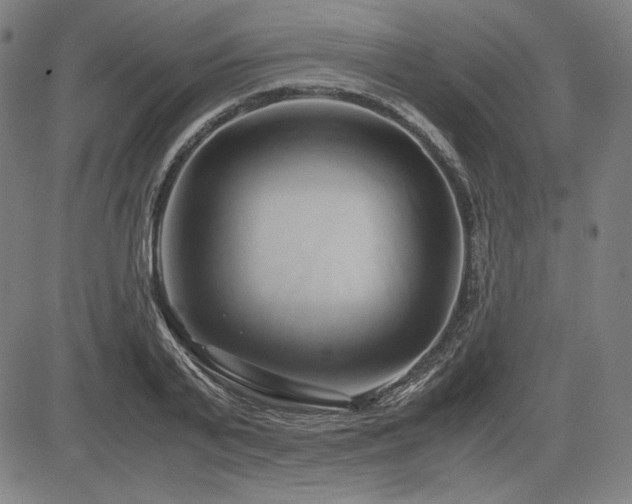 X0000083620791200702121139