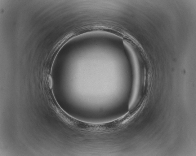 X0000083620793200702121139