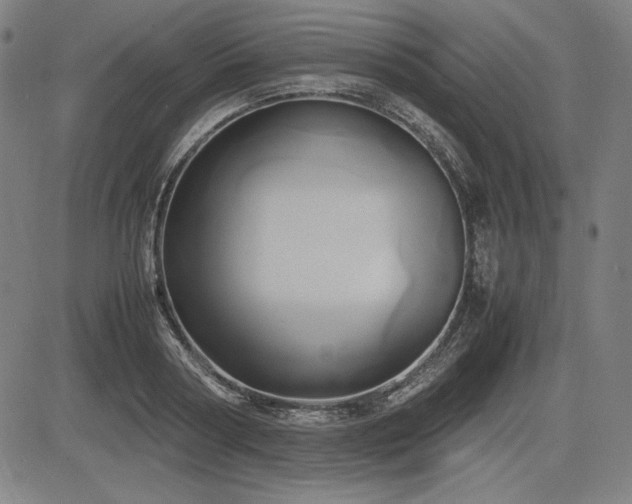 X0000083620794200702121139