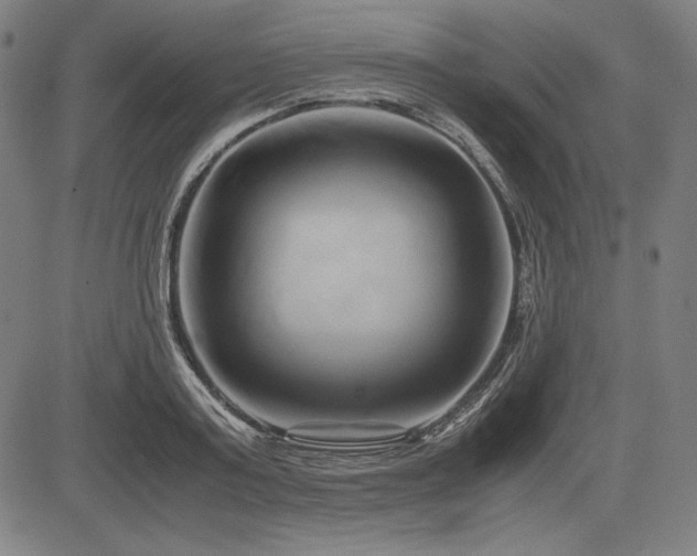 X0000083620795200702121139