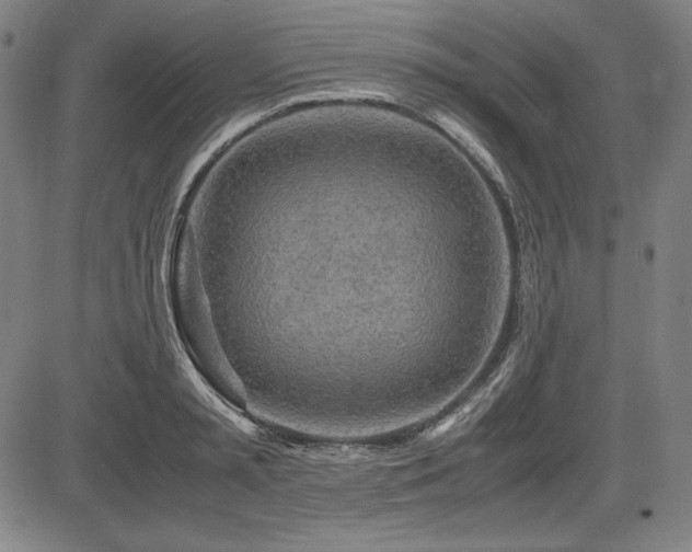 X0000083620797200702121139