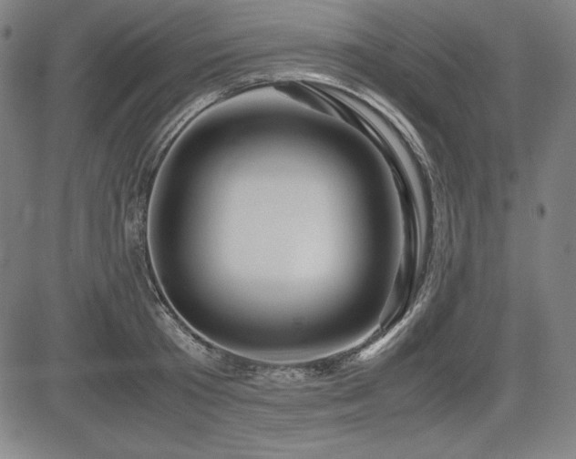 X0000083620801200702121139