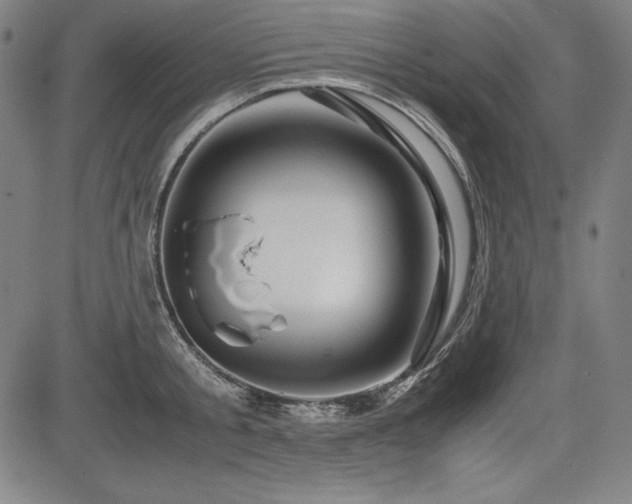 X0000083620805200702121139