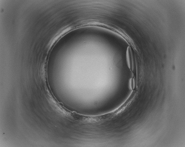 X0000083620806200702121139