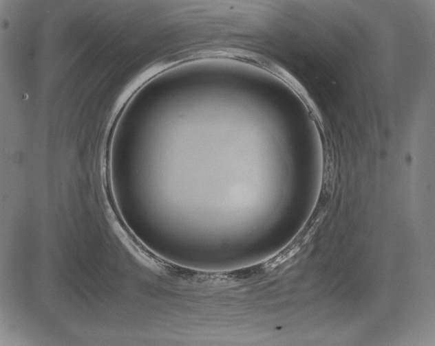 X0000083620811200702121139