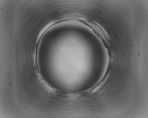X0000083620812200702121139