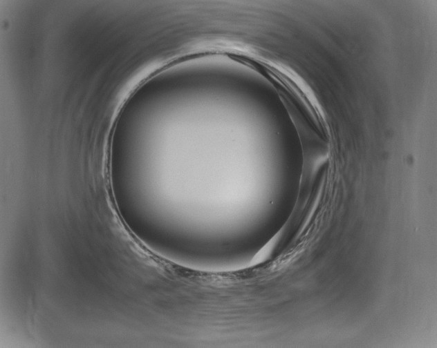 X0000083620815200702121139