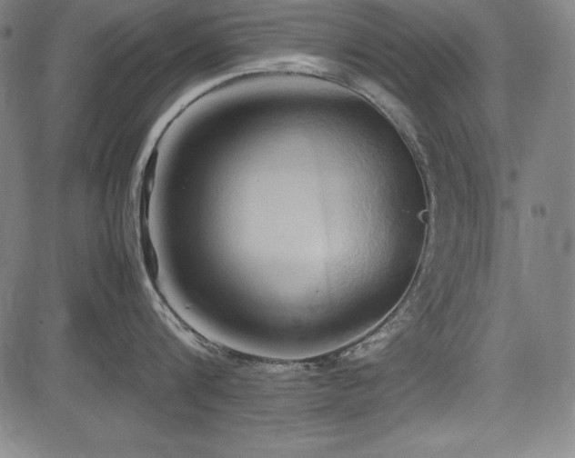X0000083620816200702121139