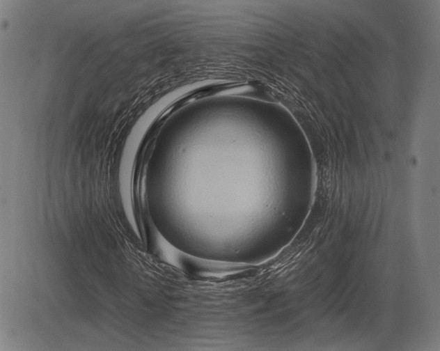 X0000083620818200702121138
