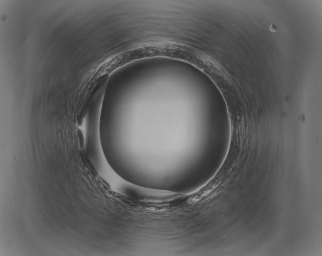 X0000083620822200702121138