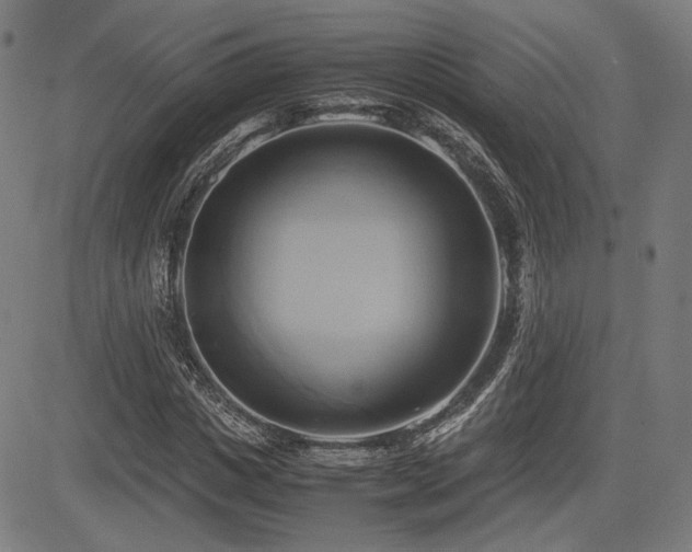 X0000083620825200702121138