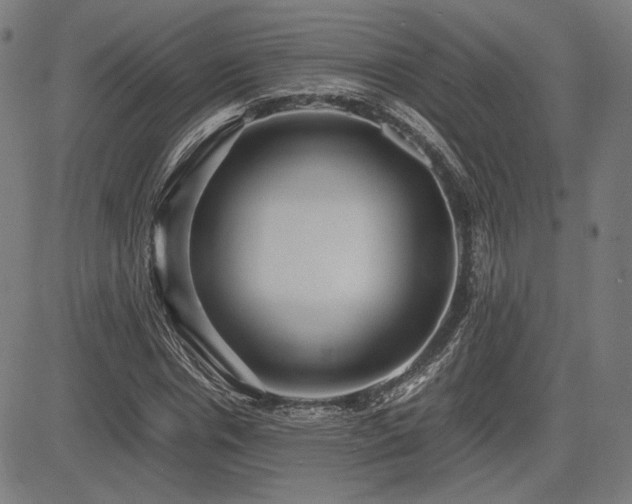 X0000083620826200702121138