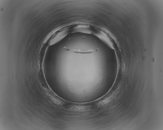 X0000083620829200702121138
