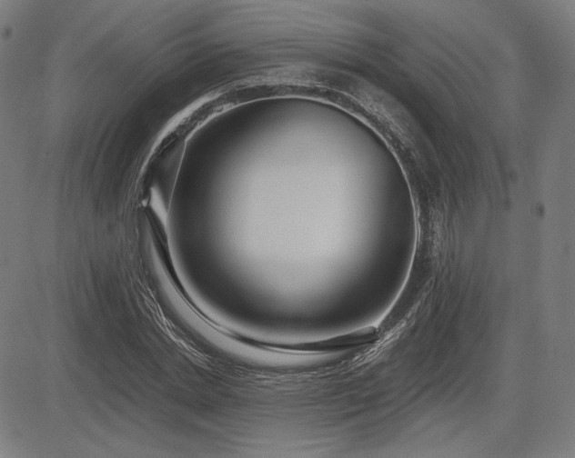 X0000083620830200702121138