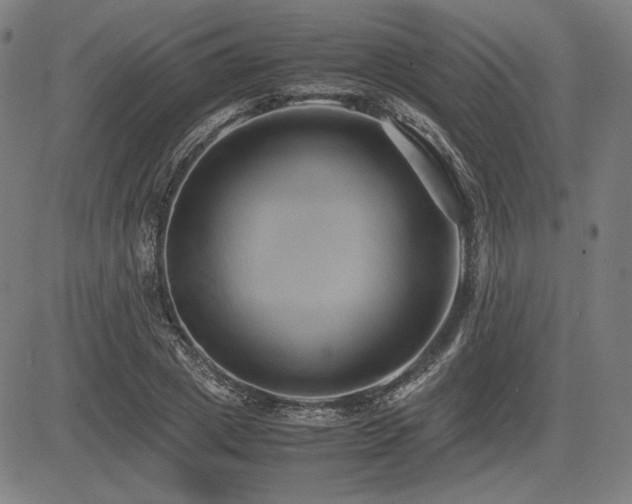 X0000083620833200702121138