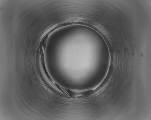 X0000083620834200702121138