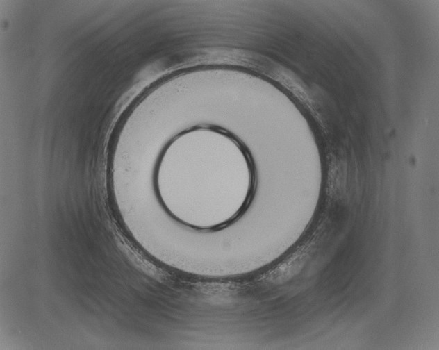 X0000083620836200702121138