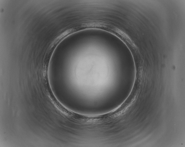 X0000083620841200702121138