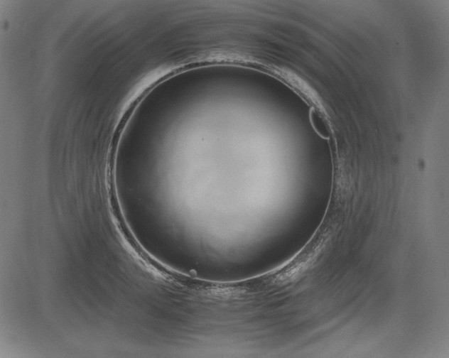 X0000083620847200702121138
