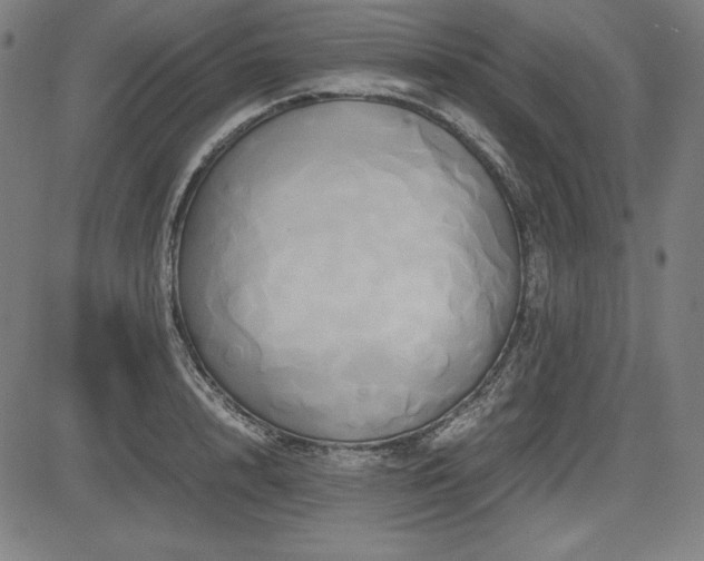 X0000083620848200702121138