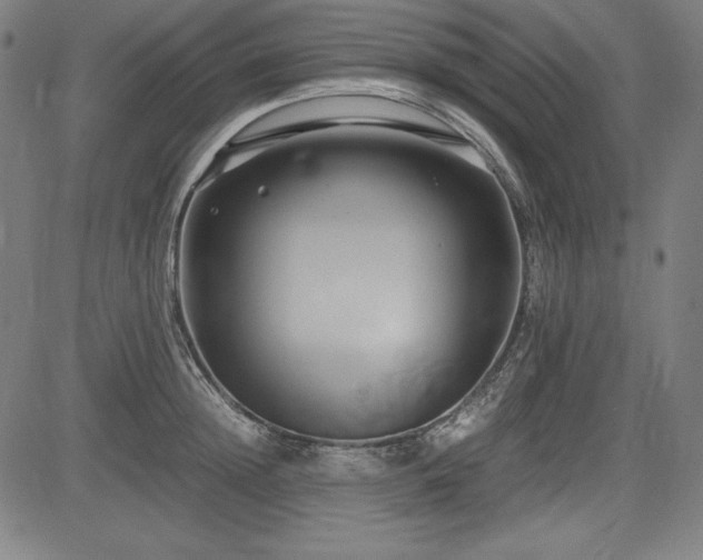 X0000083620852200702121138
