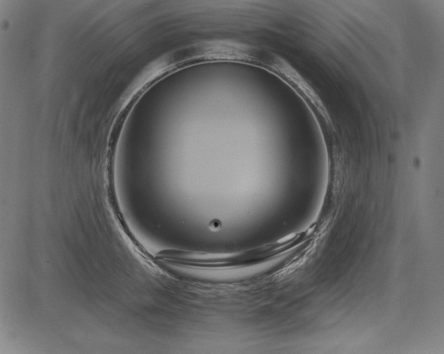 X0000083620853200702121138