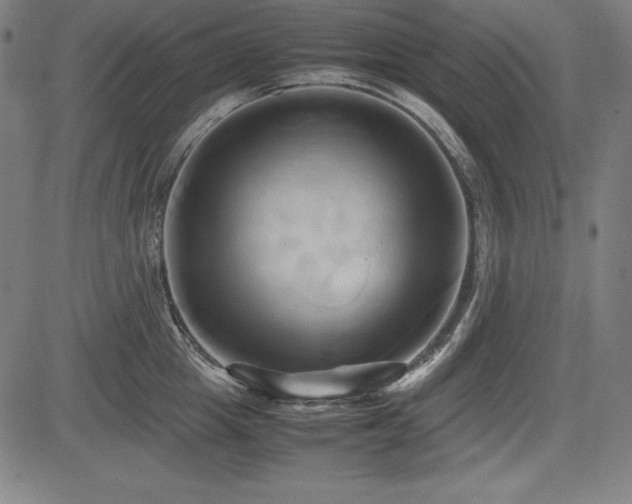 X0000083620857200702121139