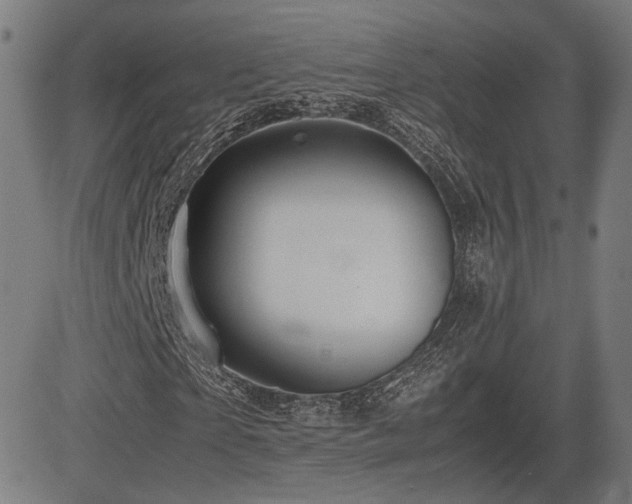 X0000083620865200702121138