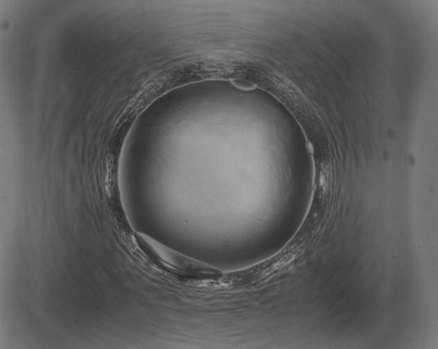 X0000083620867200702121138