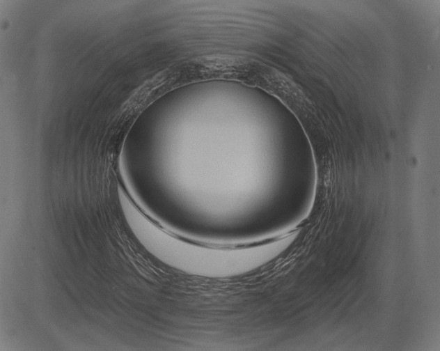 X0000083620868200702121138