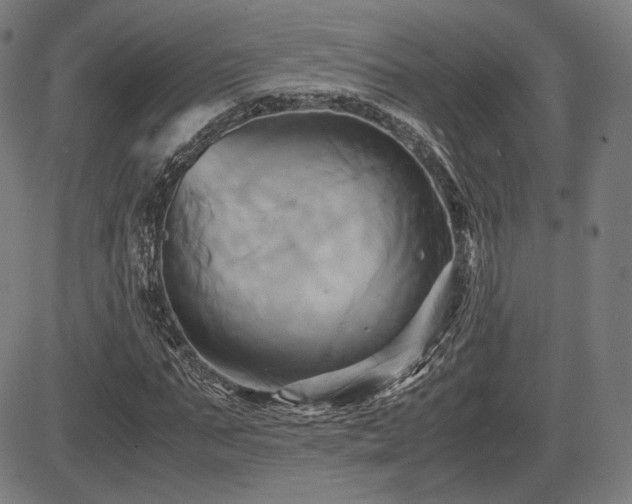 X0000083620871200702121138