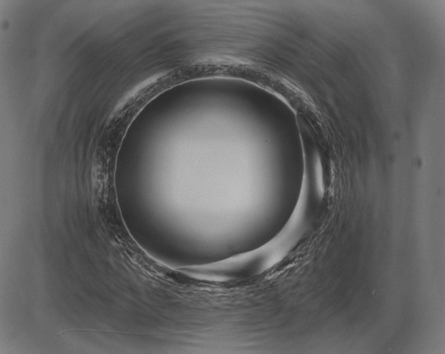 X0000083620872200702121138