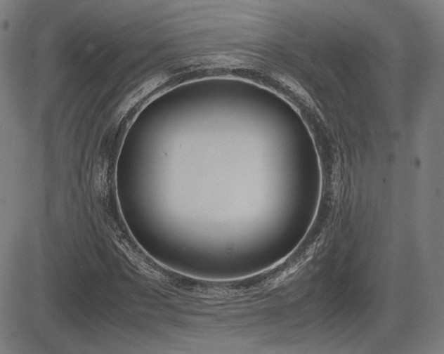 X0000083620873200702121138