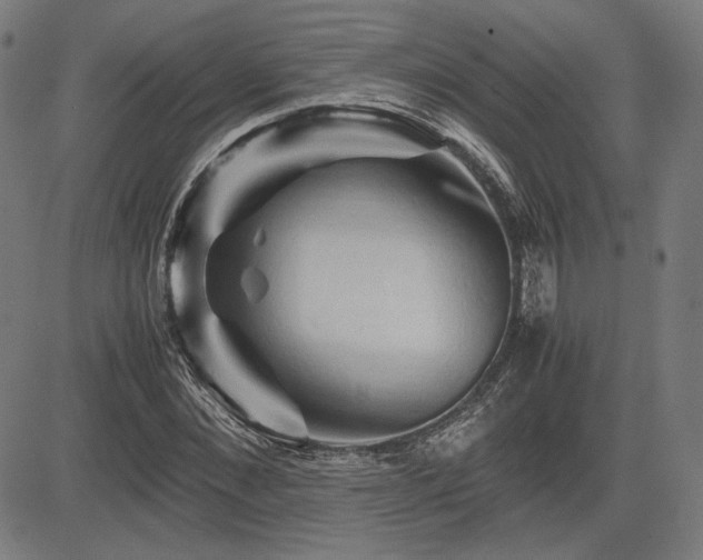 X0000083620876200702121138