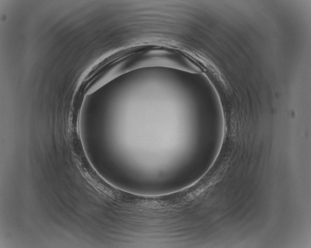 X0000083620880200702121138