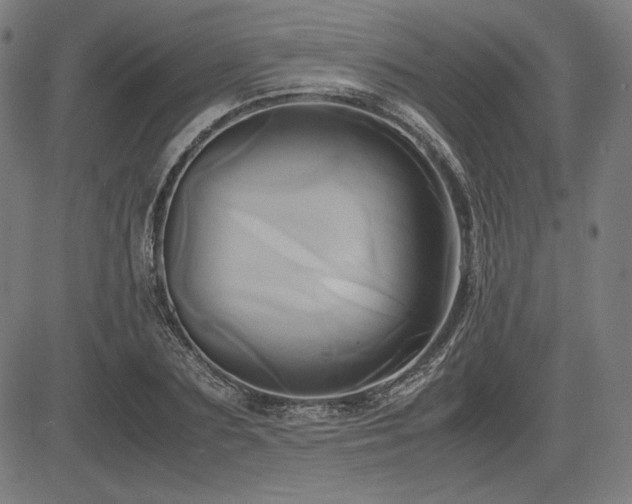X0000083620883200702121138
