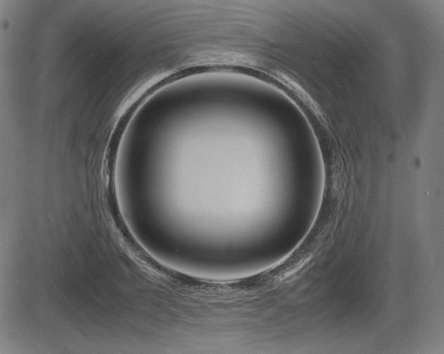 X0000083620885200702121138