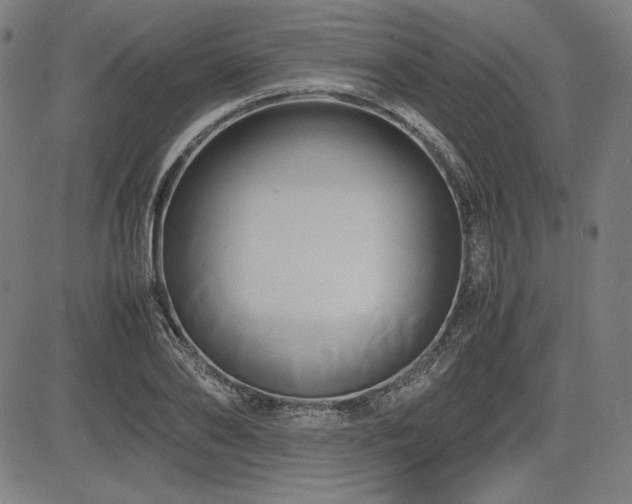 X0000083620886200702121138