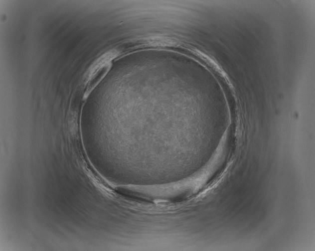 X0000083620889200702121137