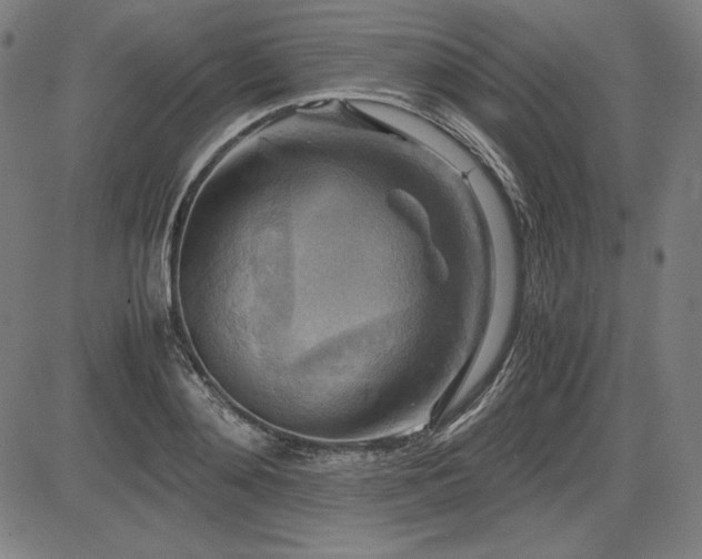 X0000083620892200702121137