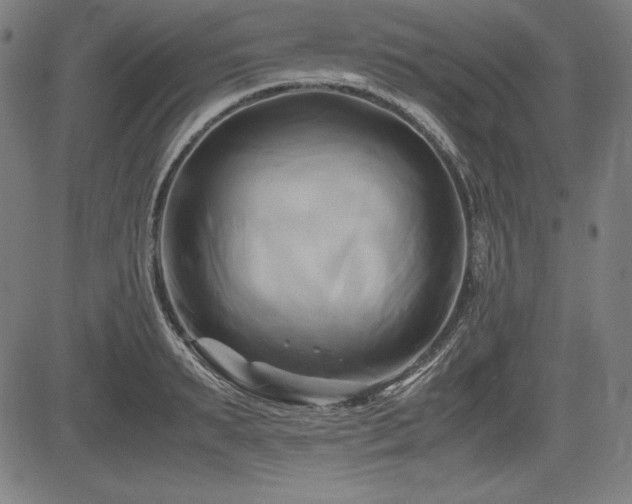 X0000083620895200702121137