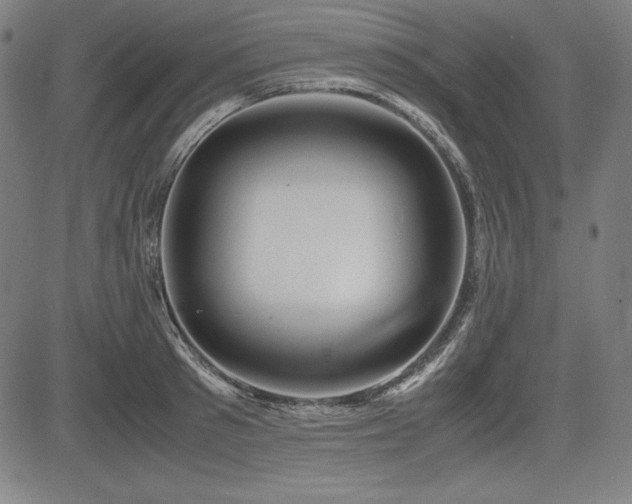 X0000083620897200702121137