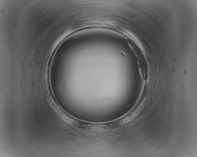 X0000083620899200702121137