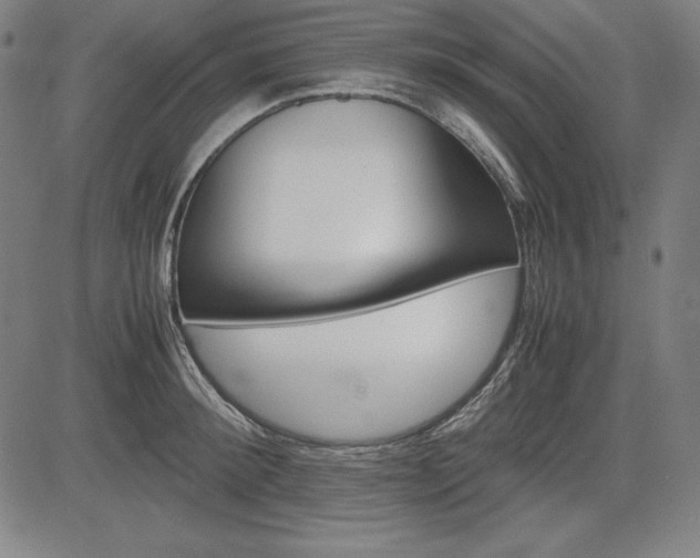X0000083620900200702121137