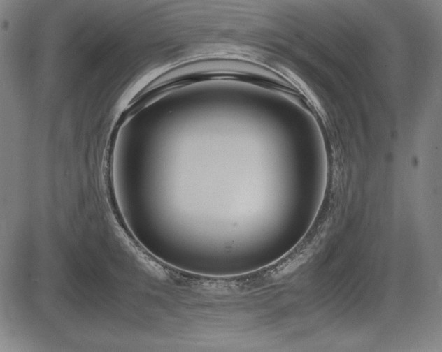 X0000083620901200702121137
