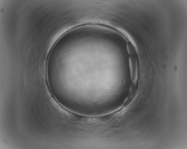 X0000083620903200702121137
