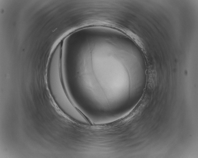X0000083620904200702121137