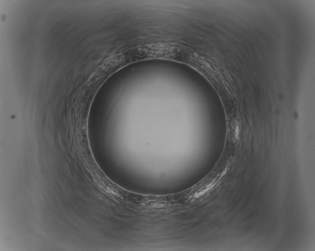 X0000083620913200702121136