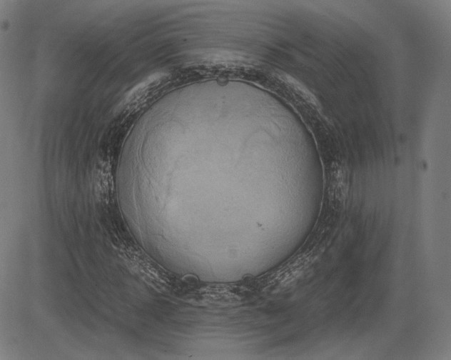 X0000083620918200702121136
